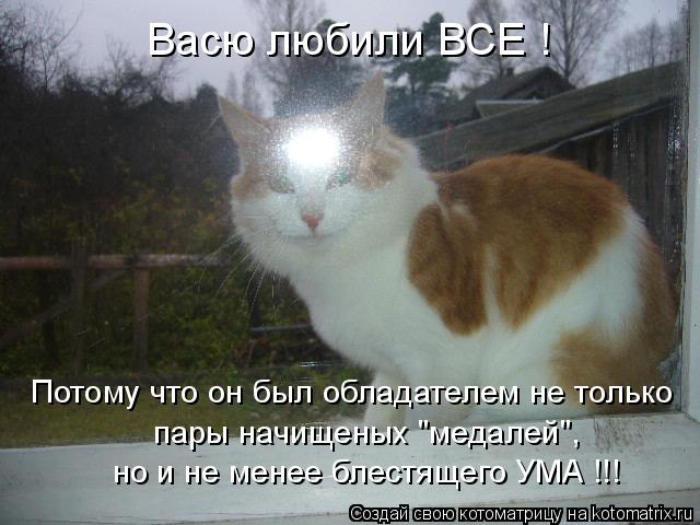 Котоматрица: Васю любили ВСЕ ! Потому что он был обладателем не только пары начищеных "медалей", но и не менее блестящего УМА !!!