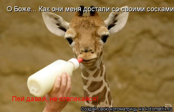 Котоматрица: О Боже... Как они меня достали со своими сосками... Пей давай, не отвлекайся!