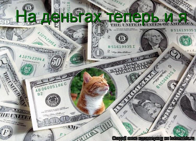 На деньгах теперь и я... Котоматрица: На деньгах теперь и я
