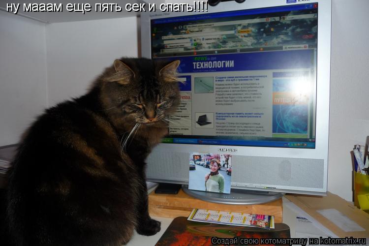 Котоматрица: ну мааам еще пять сек и спать!!!! ну мааам еще пять сек и спать!!!!