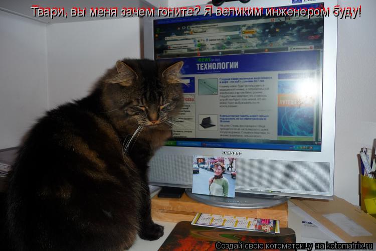 Котоматрица: Твари, вы меня зачем гоните? Я великим инженером буду! Твари, вы меня зачем гоните? Я великим инженером буду!