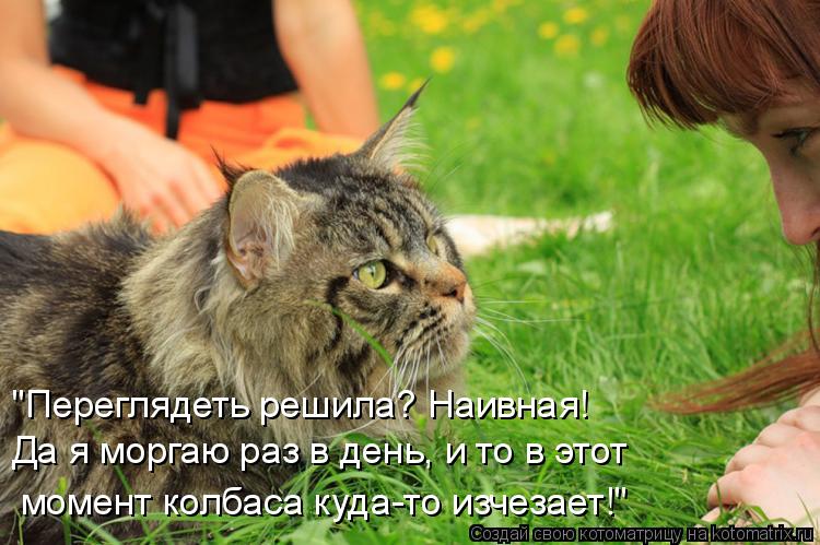 Котоматрица: "Переглядеть решила? Наивная! Да я моргаю раз в день, и то в этот момент колбаса куда-то изчезает!"