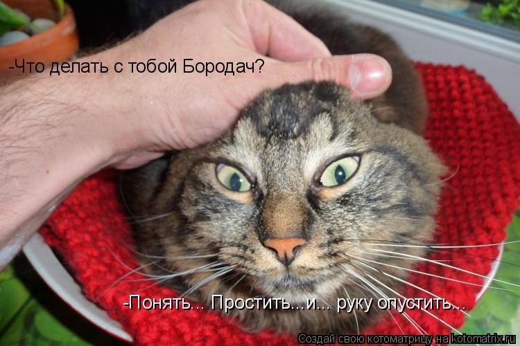Котоматрица: -Что делать с тобой Бородач? -Понять... Простить...и... руку опустить...