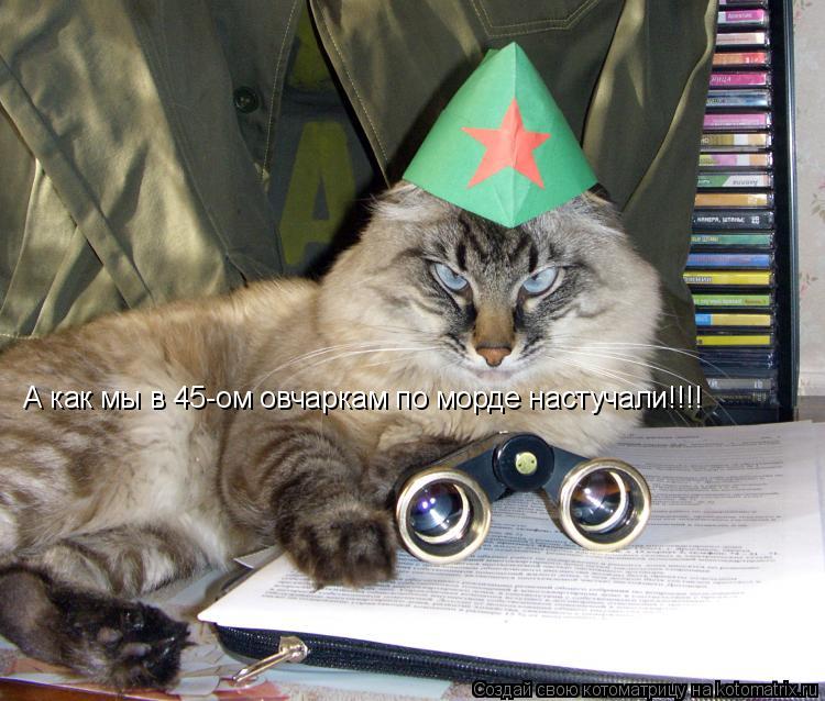 Котоматрица: А как мы в 45-ом овчаркам по морде настучали!!!!