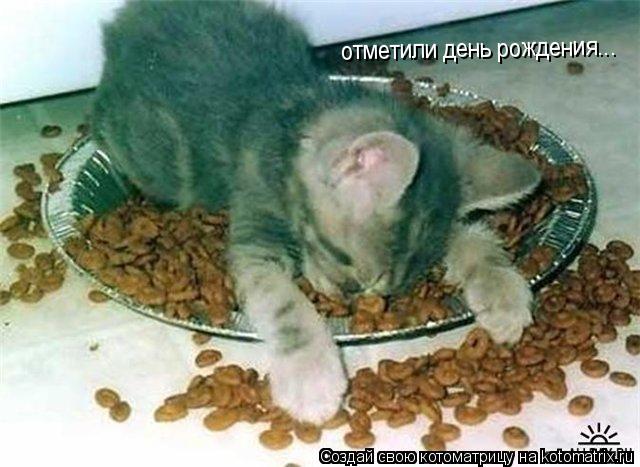 Котоматрица: отметили день рождения...