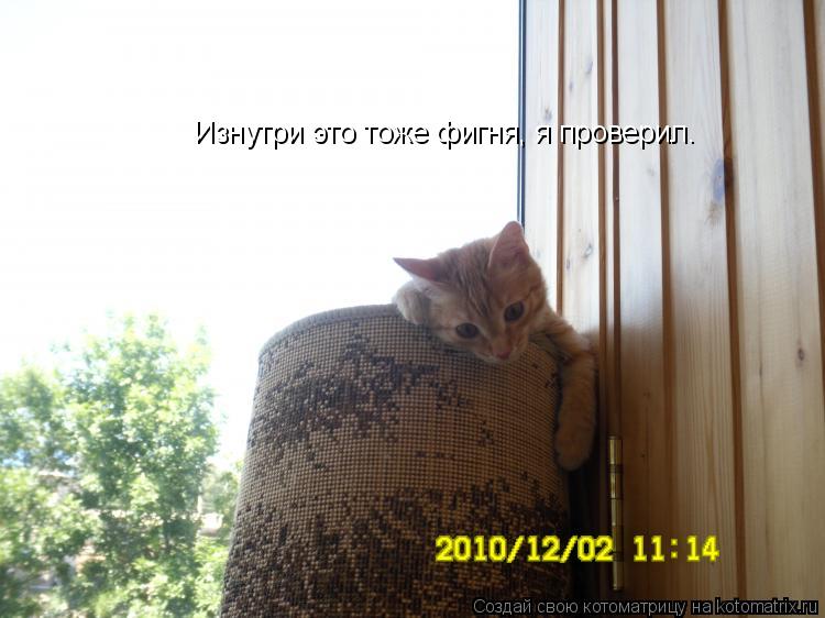 Изнутри это тоже фигня, я проверил.... Котоматрица: Изнутри это тоже фигня, я проверил.