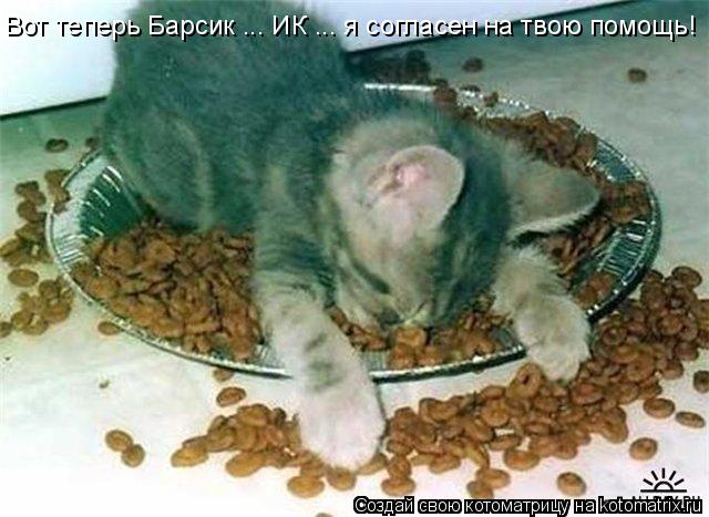Вот теперь Барсик ... ИК ... я согласен на твою помощь!... Котоматрица: Вот теперь Барсик ... ИК ... я согласен на твою помощь!