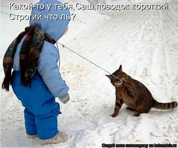 Какой-то у тебя,Саш,поводок короткий. Строгий,что ль?... Котоматрица: Какой-то у тебя,Саш,поводок короткий. Строгий,что ль?