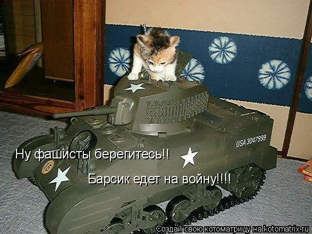Ну фашисты берегитесь!! Барсик едет на войну!!!!... Котоматрица: Ну фашисты берегитесь!! Барсик едет на войну!!!!