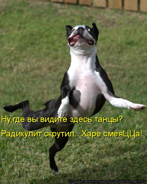 Ну,где вы видите здесь танцы? Радикулит скрутил...Харе смеяЦЦа!... Котоматрица: Ну,где вы видите здесь танцы? Радикулит скрутил...Харе смеяЦЦа!
