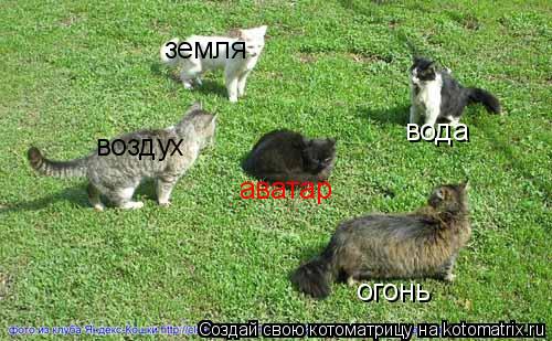 земля вода огонь воздух аватар... Котоматрица: земля вода огонь воздух аватар