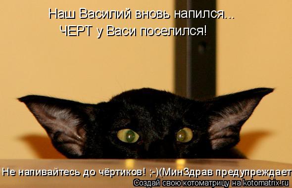 Наш Василий вновь напился... ЧЕРТ у Васи поселился! Не напивайтесь до чёртиков! ;-)(МинЗдрав предупре... Котоматрица: Наш Василий вновь напился... ЧЕРТ у Васи поселился! Не напивайтесь до чёртиков! ;-)(МинЗдрав предупреждает!)