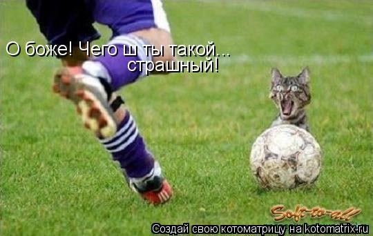 О боже! Чего ш ты такой... страшный!... Котоматрица: О боже! Чего ш ты такой... страшный!