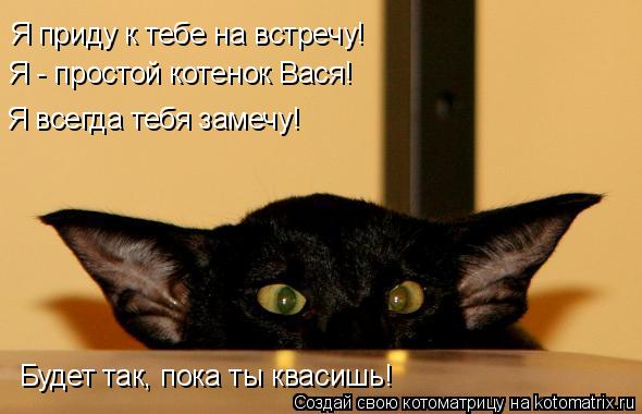 Я приду к тебе на встречу! Я - простой котенок Вася! Будет так, пока ты квасишь! Я всегда тебя замечу... Котоматрица: Я приду к тебе на встречу! Я - простой котенок Вася! Будет так, пока ты квасишь! Я всегда тебя замечу!