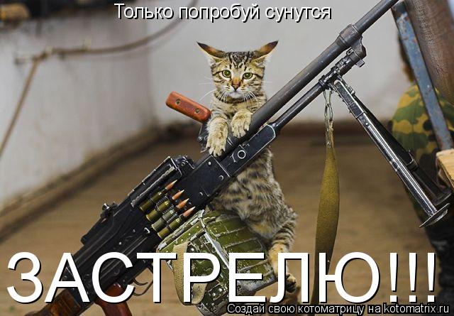 Котоматрица: Только попробуй сунутся  ЗАСТРЕЛЮ ЗАСТРЕЛЮ!!!