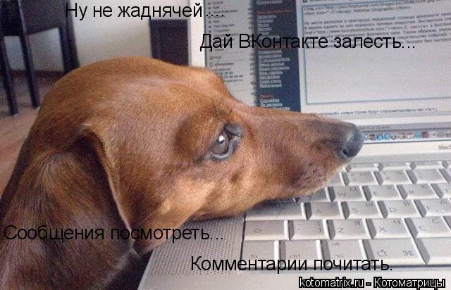 Котоматрица: Ну не жаднячей .... Дай ВКонтакте залесть... Сообщения посмотреть... Комментарии почитать.