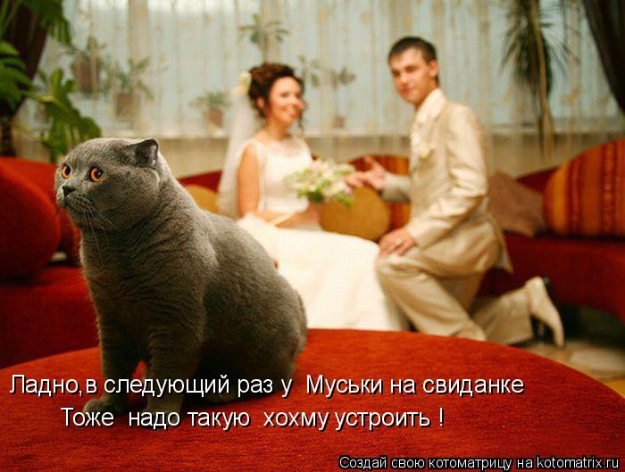 Котоматрица: Тоже  надо такую  хохму устроить ! Ладно,в следующий раз у  Муськи на свиданке