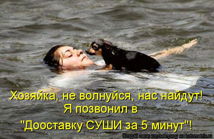 Хозяйка, не волнуйся, нас найдут! Я позвонил в "Дооставку СУШИ за 5 минут"!... Котоматрица: Хозяйка, не волнуйся, нас найдут! Я позвонил в "Дооставку СУШИ за 5 минут"!