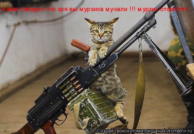 Котоматрица: я вам говорил что зря вы мурзика мучали !!! мурзик отомстит