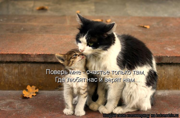 Котоматрица: Где любят нас и верят нам... Поверь мне - счастье только там,
