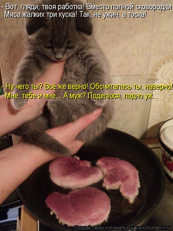 - Вот, гляди, твоя работка! Вместо полной сковородки Мяса жалких три куска! Так, не ужин, а тоска! - ... Котоматрица: - Вот, гляди, твоя работка! Вместо полной сковородки Мяса жалких три куска! Так, не ужин, а тоска! - Ну чего ты? Всё же верно! Обсчиталась ты, нав