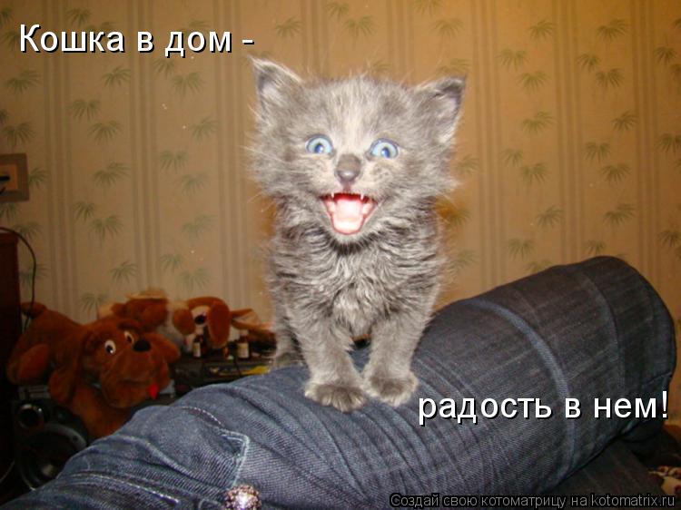 Котоматрица: Кошка в дом -  радость в нем!