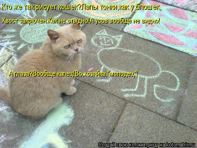 Котоматрица: Кто же так рисует кошек?Лапы тонки,как у блошек, Хвост закрючен.Как не стыдно!А усов вообще не видно! А глаза?Вообще капец!Во,хозяйка,"молодец