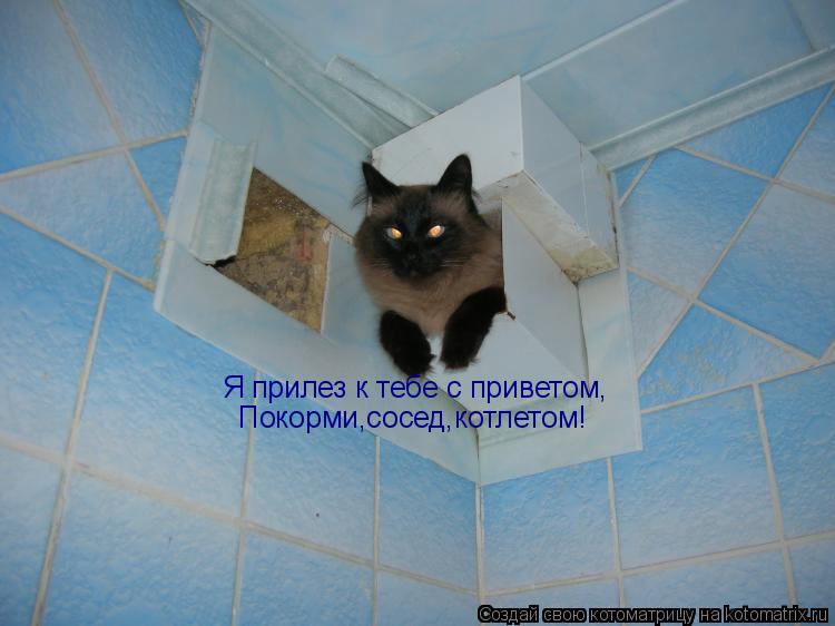 Котоматрица: Я прилез к тебе с приветом, Покорми,сосед,котлетом!