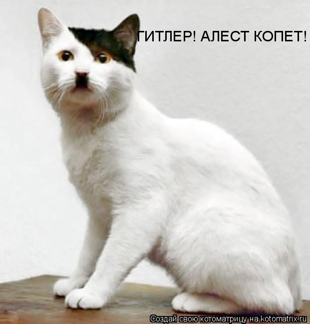 Котоматрица: ГИТЛЕР! АЛЕСТ КОПЕТ!