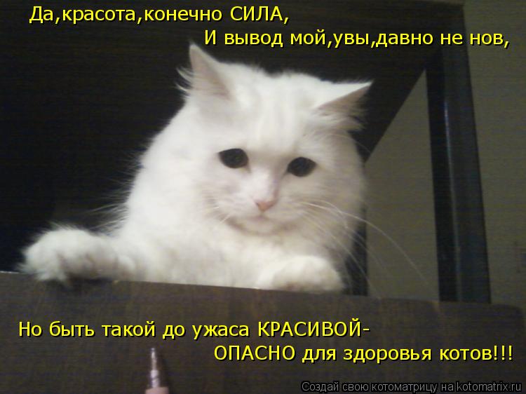 Котоматрица: Да,красота,конечно СИЛА, И вывод мой,увы,давно не нов, Но быть такой до ужаса КРАСИВОЙ- ОПАСНО для здоровья котов!!!