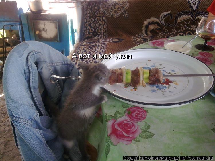 Котоматрица: А вот и мой ужин