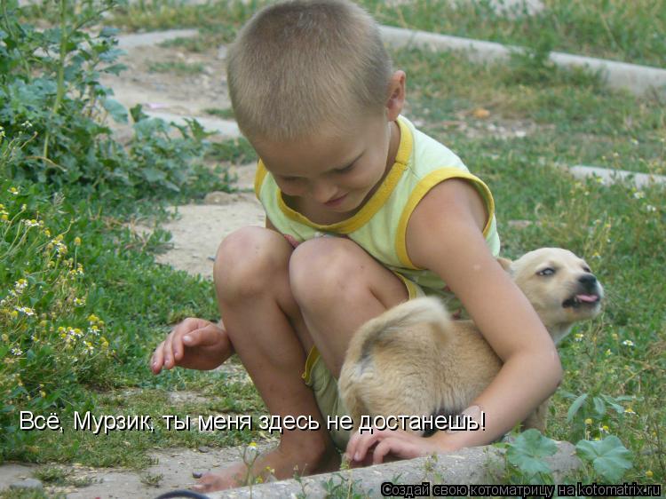 Котоматрица: Всё, Мурзик, ты меня здесь не достанешь! Всё, Мурзик, ты меня здесь не достанешь!