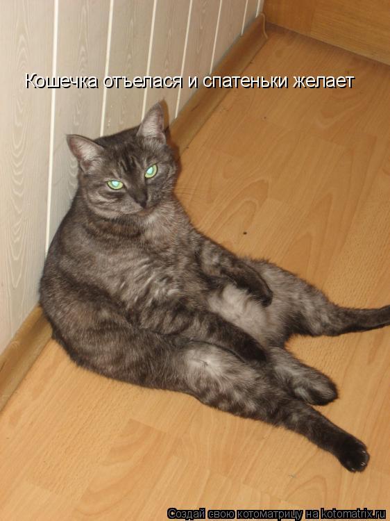 Котоматрица: Кошечка отъелася и спатеньки желает