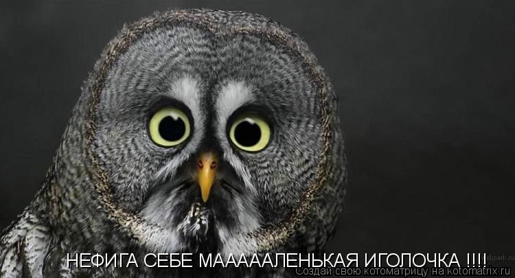 Котоматрица: НЕФИГА СЕБЕ МАААААЛЕНЬКАЯ ИГОЛОЧКА !!!!