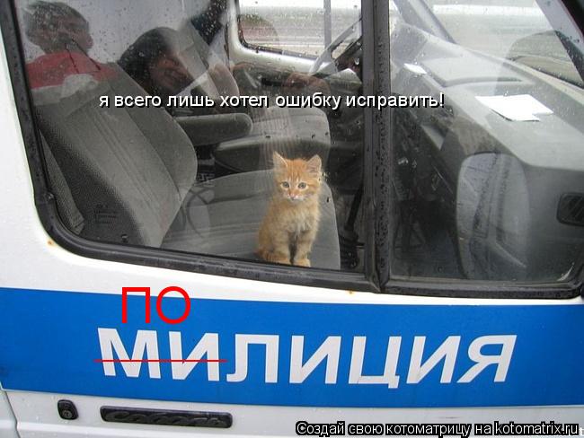 Котоматрица: __________ ПО я всего лишь хотел ошибку исправить!