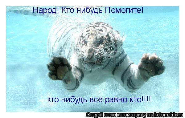 Котоматрица: Народ! Кто нибудь Помогите!  кто нибудь всё равно кто!!!!