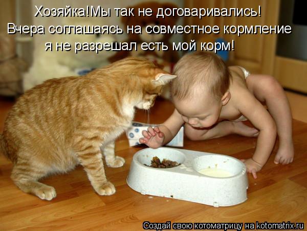 Котоматрица: Хозяйка!Мы так не договаривались! Вчера соглашаясь на совместное кормление я не разрешал есть мой корм!