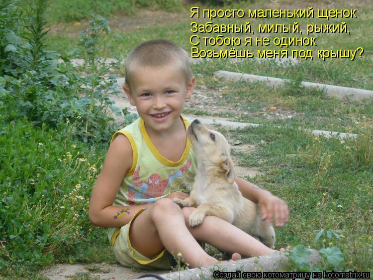 Котоматрица: Я просто маленький щенок Забавный, милый, рыжий, С тобою я не одинок Возьмёшь меня под крышу?