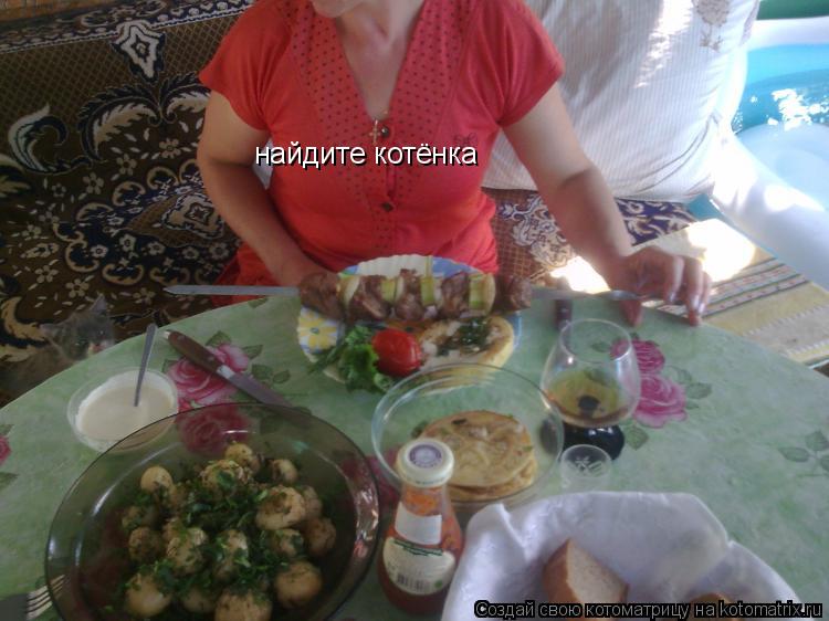Котоматрица: найдите котёнка