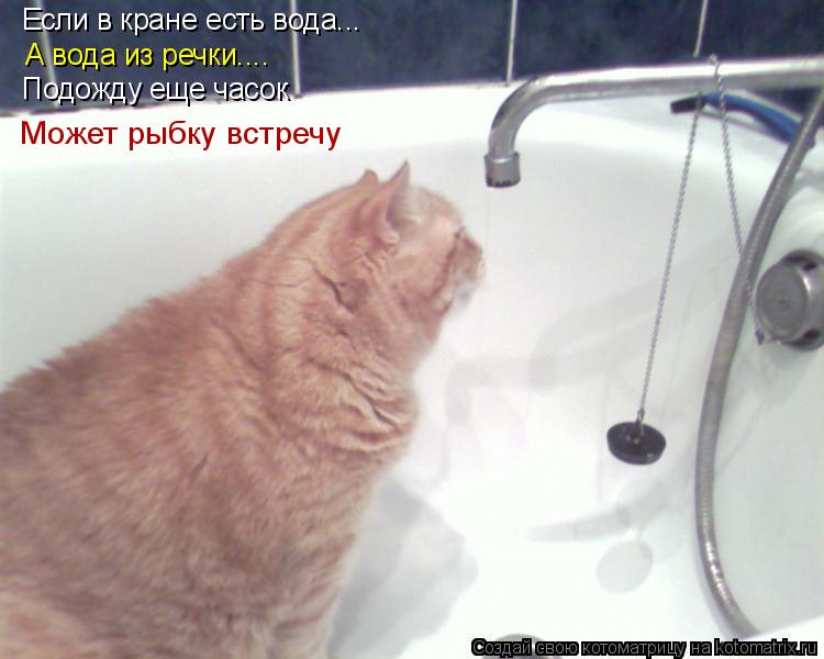 Котоматрица: Если в кране есть вода... А вода из речки.... Подожду еще часок Может рыбку встречу