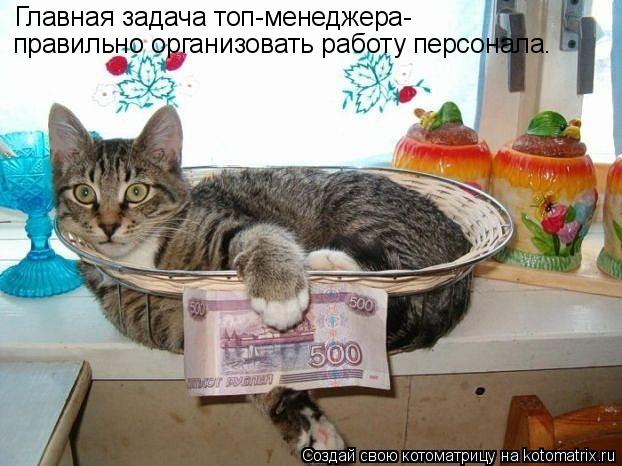 Котоматрица: Главная задача топ-менеджера- правильно организовать работу персонала.