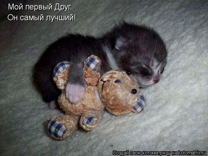 Котоматрица: Мой первый Друг. Он самый лучший!