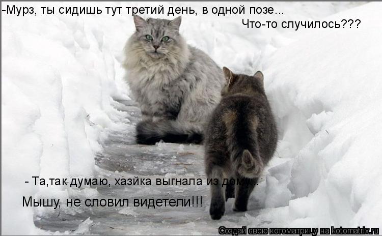 Котоматрица: -Мурз, ты сидишь тут третий день, в одной позе... Что-то случилось??? - Та,так думаю, хазйка выгнала из дому... Мышу, не словил видетели!!!