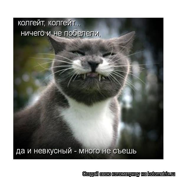 Котоматрица: ничего и не побелели, колгейт, колгейт... да и невкусный - много не съешь