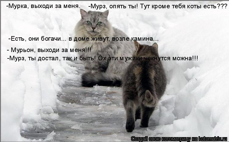 Котоматрица: -Мурз, опять ты! Тут кроме тебя коты есть??? -Есть, они богачи... в доме живут, возле камина... -Мурка, выходи за меня. - Мурьон, выходи за меня!!! -М