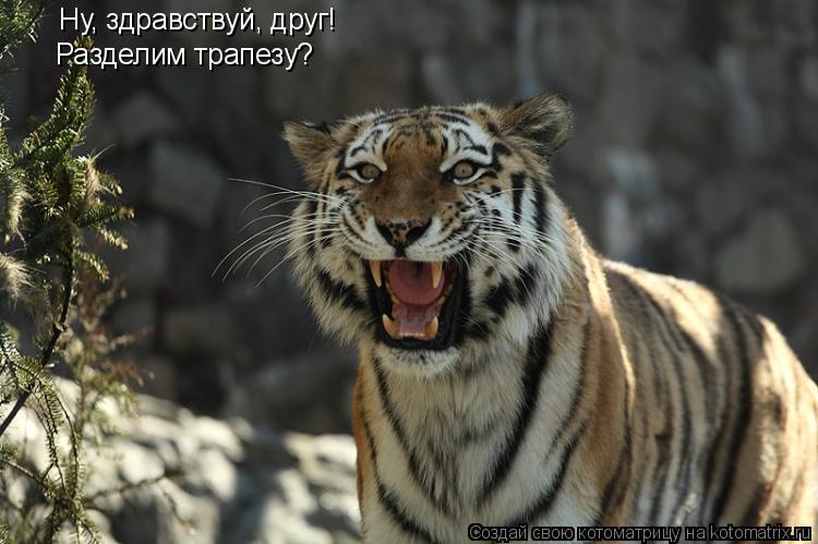 Котоматрица: Ну, здравствуй, друг! Разделим трапезу?