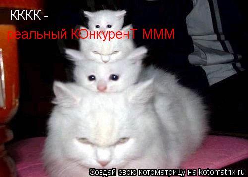Котоматрица: КККК - реальный КОнкуренТ МММ