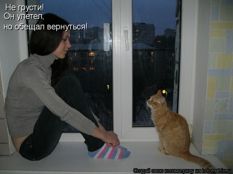 Котоматрица: Не грусти! Он улетел, но обещал вернуться!