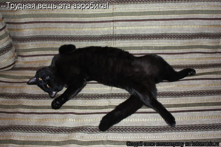 Котоматрица: --Трудная вещь эта аэробика!