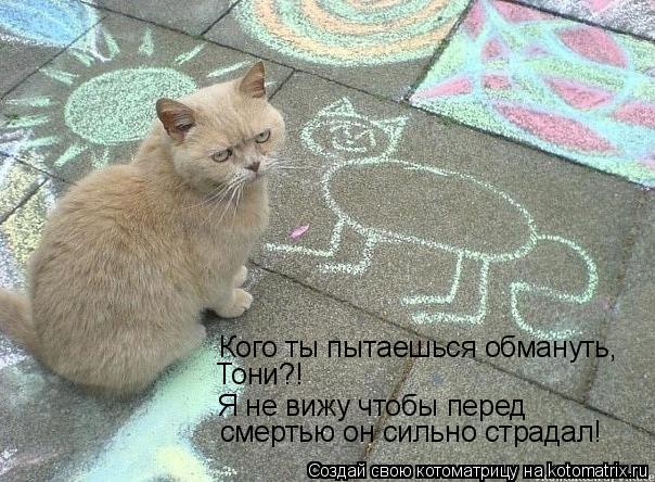 Котоматрица: Кого ты пытаешься обмануть, Я не вижу чтобы перед смертью он сильно страдал! Тони?!